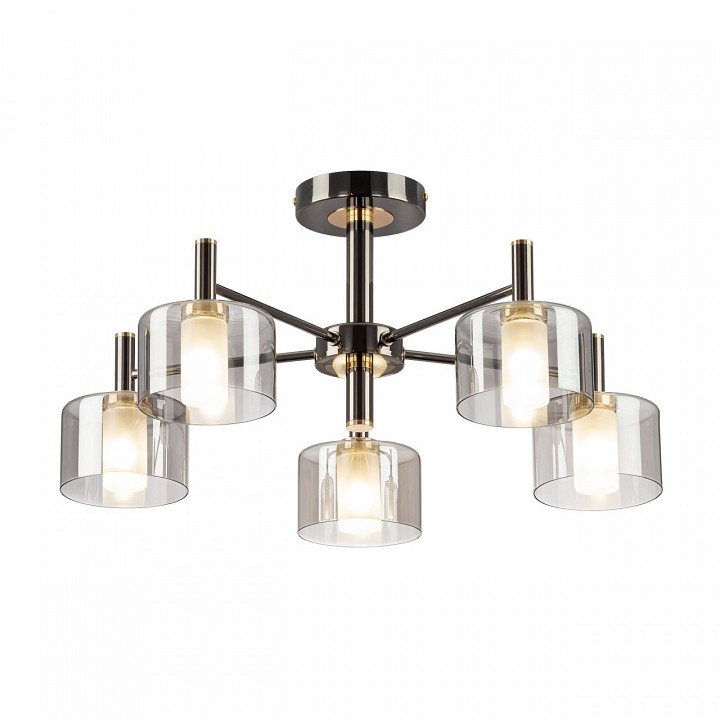 Люстра на штанге citilux elan cl241151