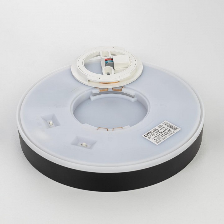 Накладной светильник citilux etalon cl750241