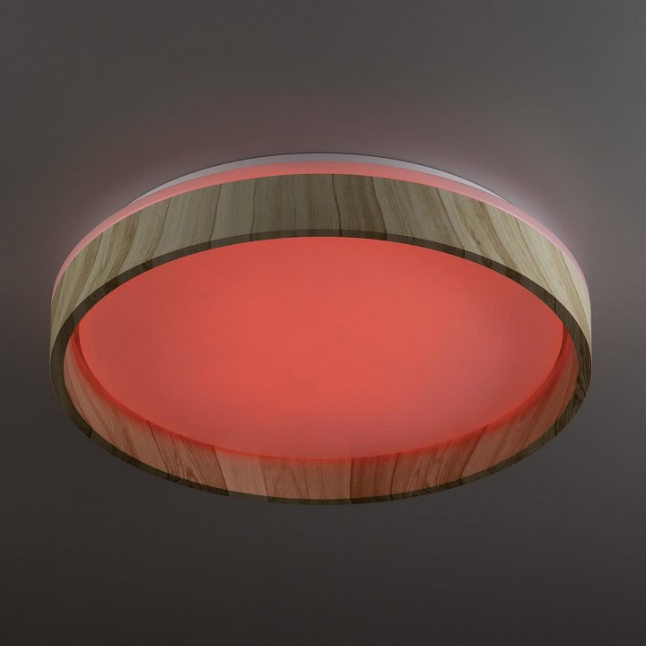 Накладной светильник citilux enzo cl753352g