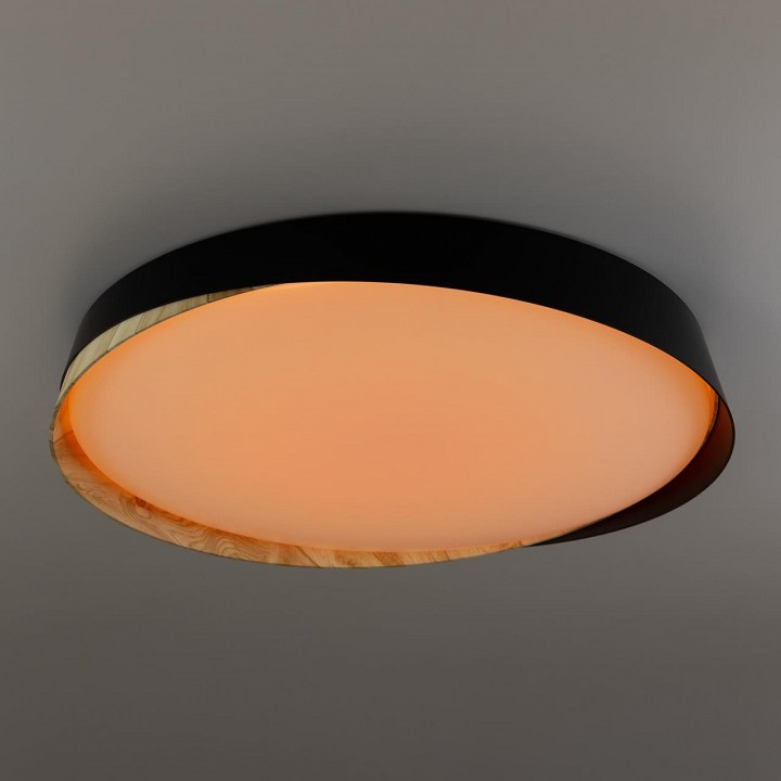 Накладной светильник citilux bonny cl754451g