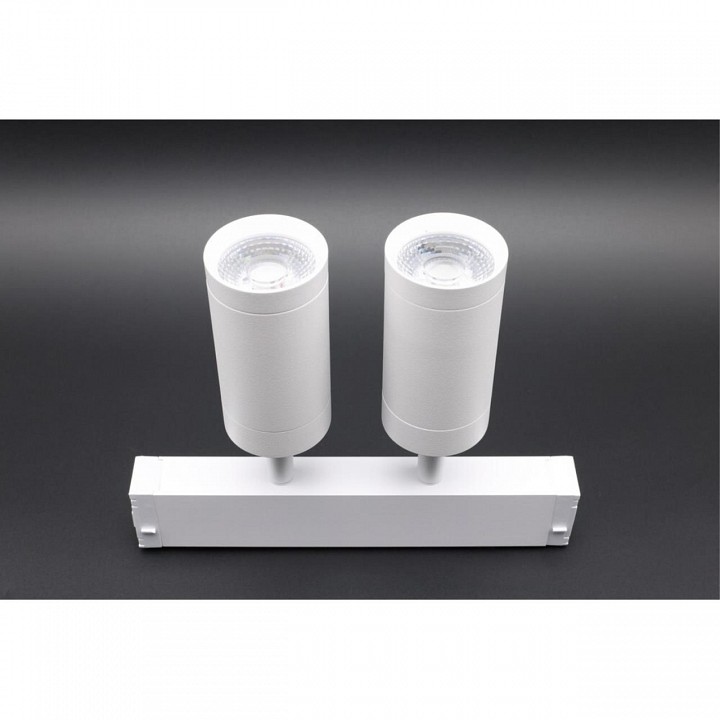 Светильник на штанге aployt magnetic track 220 apl.0204.10.18