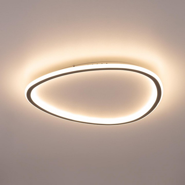 Накладной светильник citilux тrio cl215b251e