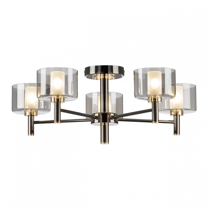 Люстра на штанге citilux elan cl241151