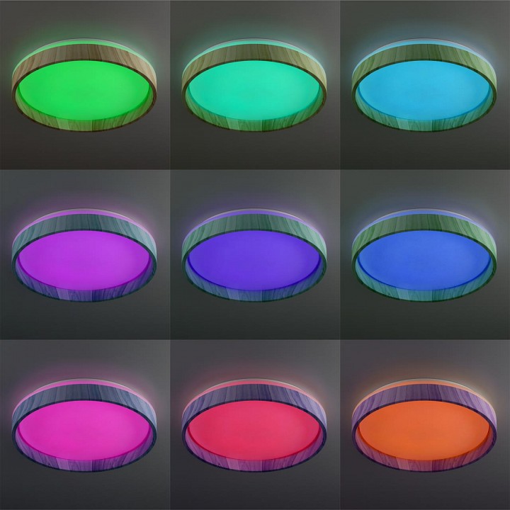 Накладной светильник citilux enzo cl753352g