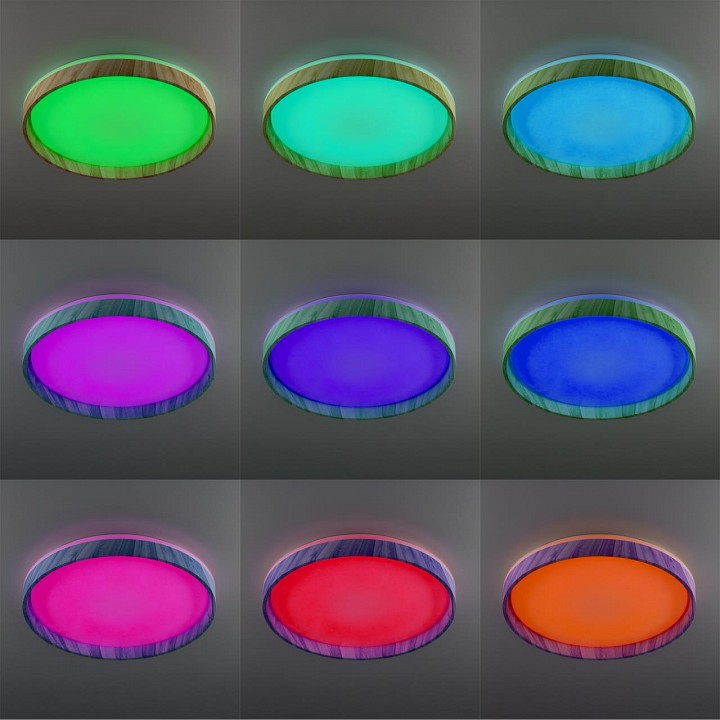 Накладной светильник citilux enzo cl753452g