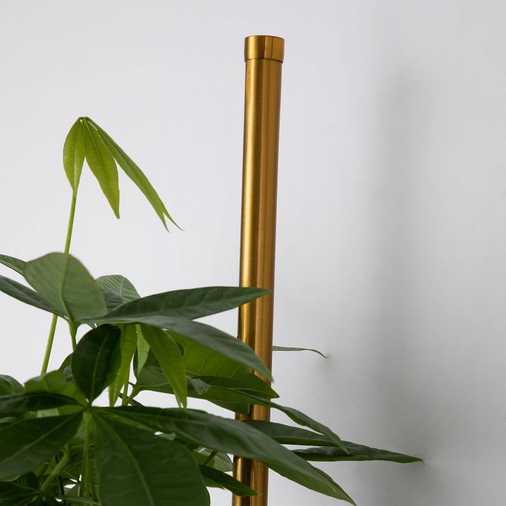 Бра favourite greenery 4050-2w