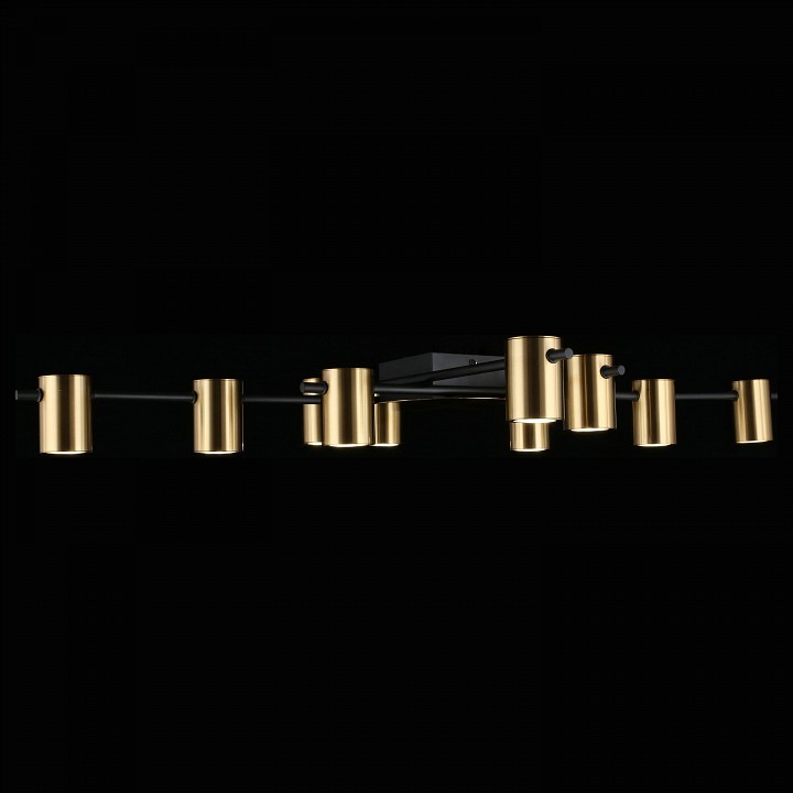 Потолочная люстра aployt elwisia apl.633.07.10