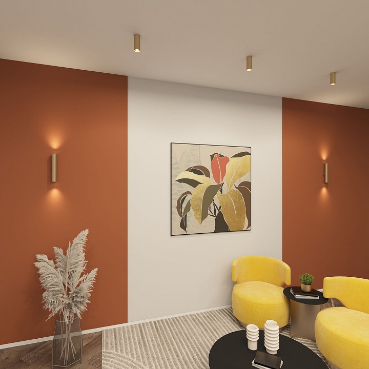 Накладной светильник denkirs scope dk5022-sg