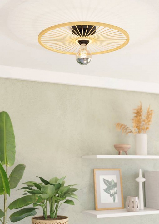 Накладной светильник eglo leominster 43883