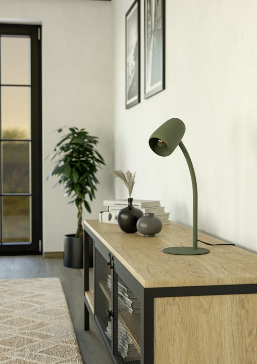 Настольная лампа декоративная eglo carlo 901831