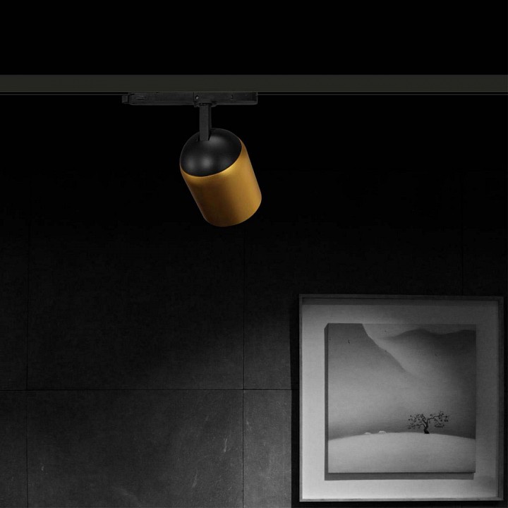 Светильник на штанге novotech kamp 358516