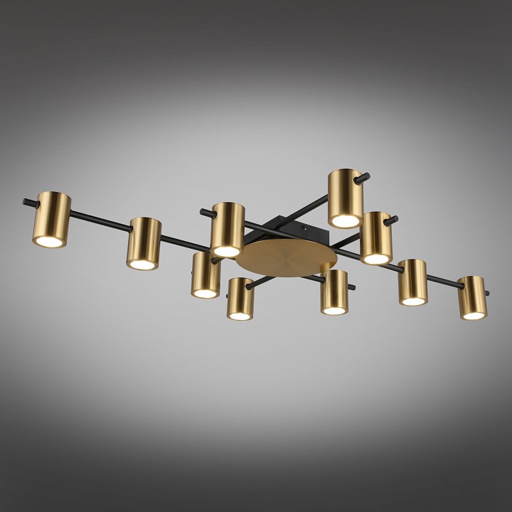 Потолочная люстра aployt elwisia apl.633.07.10