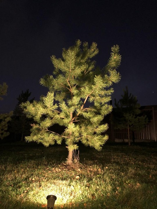 Наземный низкий светильник covali  sp-33005