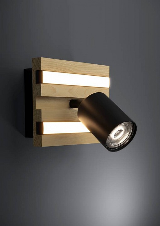 Накладной светильник eglo gesteira 390521