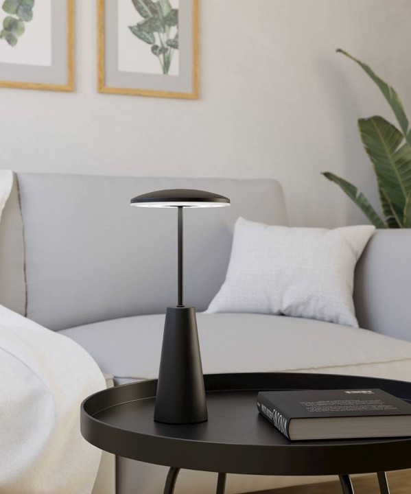 Настольная лампа декоративная eglo piccola 900925