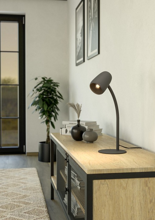 Настольная лампа декоративная eglo carlo 901828