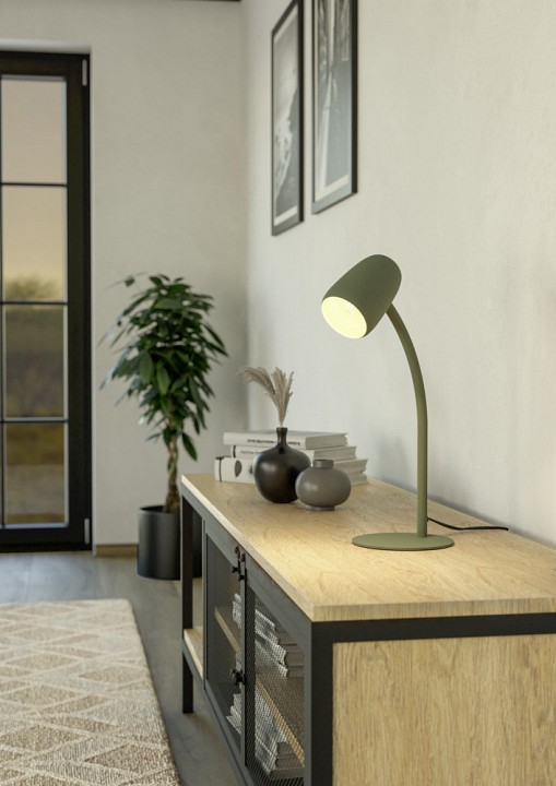 Настольная лампа декоративная eglo carlo 901831