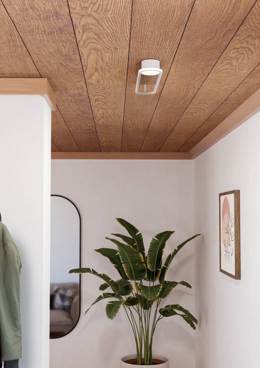 Накладной светильник eglo collecorvino 902152