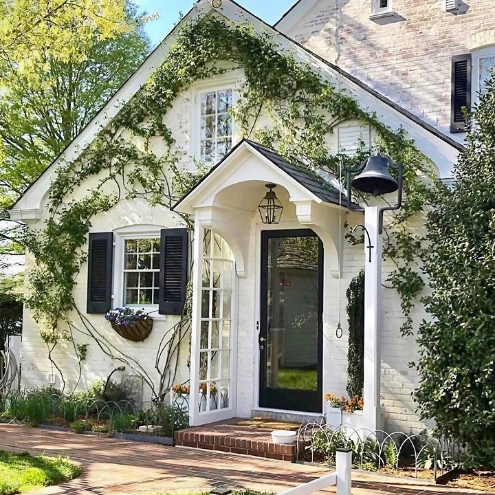 Подвесная люстра odeon light london 4894/5