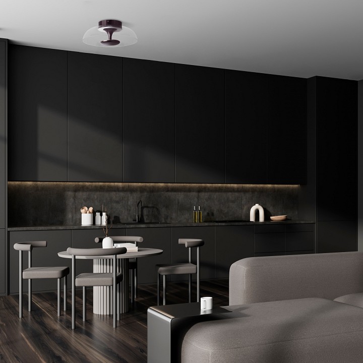 Накладной светильник lightstar celesta 809200