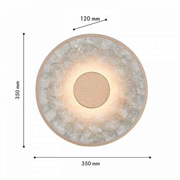 Накладной светильник favourite solarius 4858-1w
