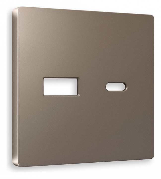 Накладка для розетки type a и c ambrella volt quant ap6410