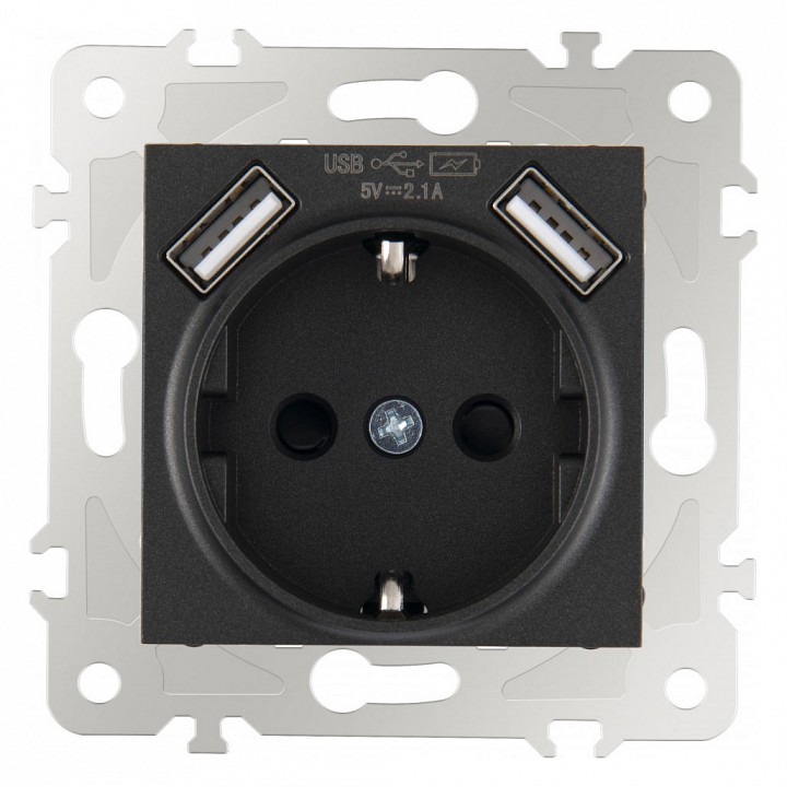 Розетка с заземлением и со шторкой и 2хusb, Без рамки arte milano am-203 203.47-1.black