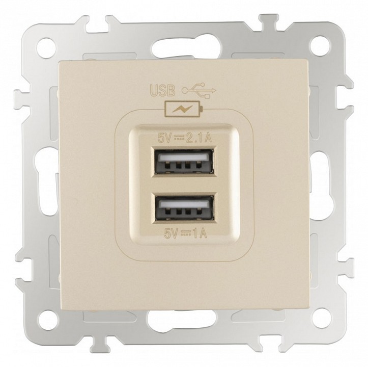 Розетка usb, Без рамки arte milano am-206 206.46-1.shampan