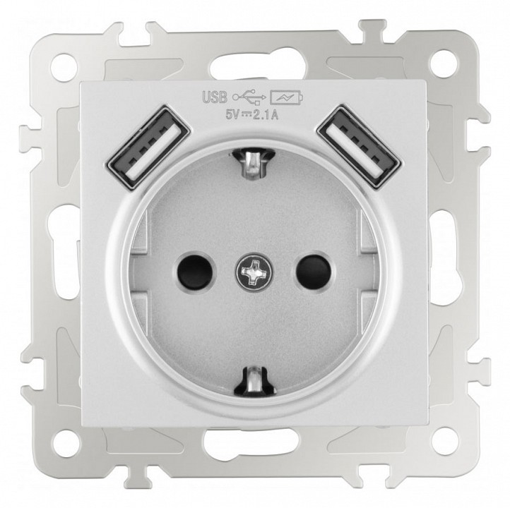 Розетка с заземлением и со шторкой и 2хusb, Без рамки arte milano am-206 206.47-1.silver