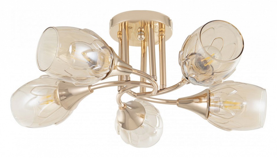 Потолочная люстра arte milano napoli-6366 336366/5 fgd