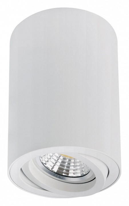 Накладной светильник arte lamp sentry a1566pl-1wh