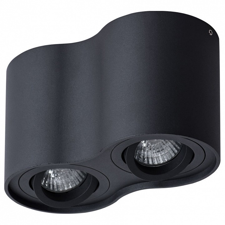 Накладной светильник arte lamp falcon a5645pl-2bk