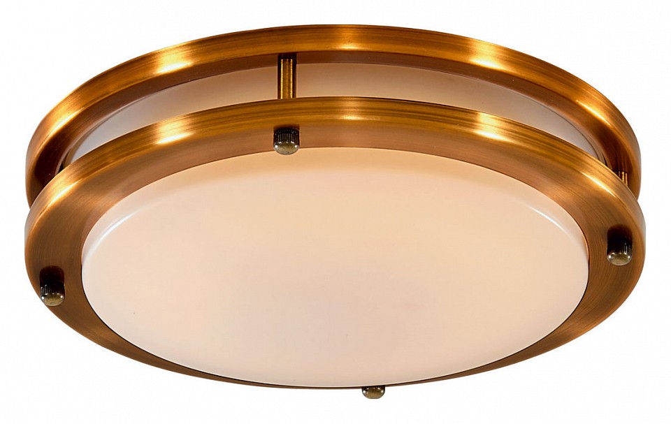 Накладной светильник citilux бостон cl709203n