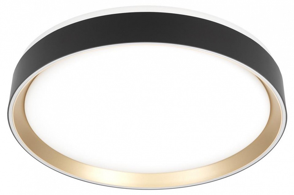 Накладной светильник citilux boss cl751351g