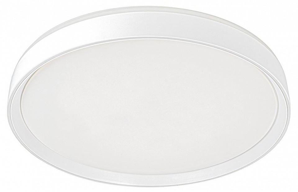 Накладной светильник citilux boss cl751450g