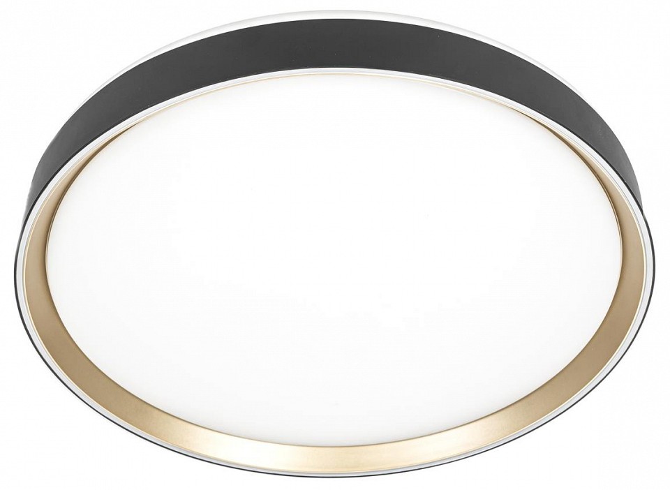 Накладной светильник citilux boss cl751451g