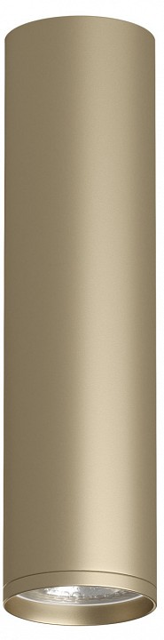 Накладной светильник denkirs tube dk2052-sg