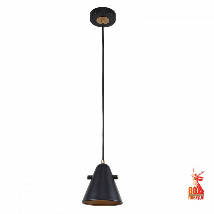 Подвесной светильник f-promo rigor 2844-1p