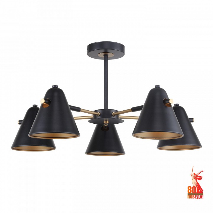 Люстра на штанге f-promo rigor 2844-5p