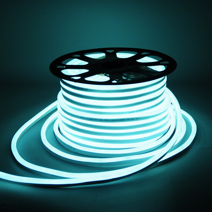 Комплект с лентой светодиодной gauss black neon 220v 311000308
