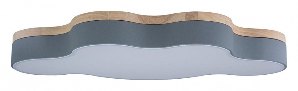 Накладной светильник loft it axel 4 10005/36 grey
