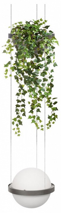 Подвесной светильник loft it jardin 10121/1p dark grey