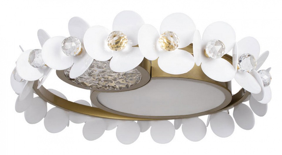 Накладной светильник loft it bride 10173