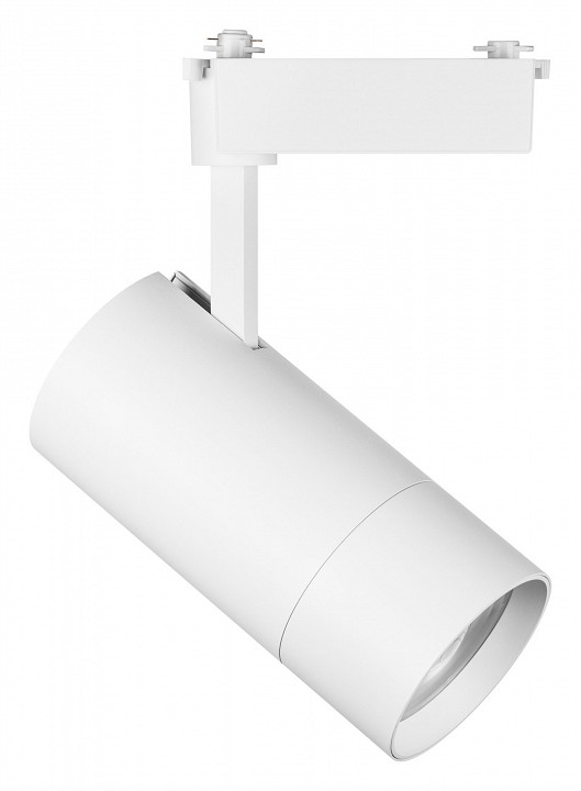 Светильник на штанге lightstar volta 229436