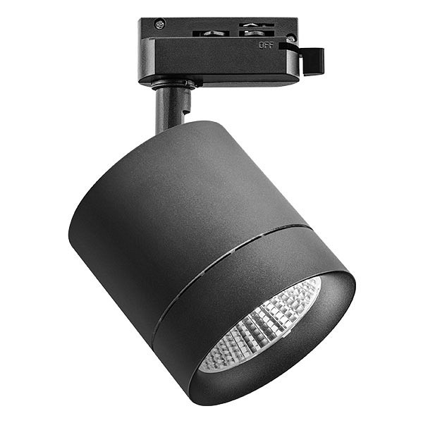 Светильник на штанге lightstar canno 301274