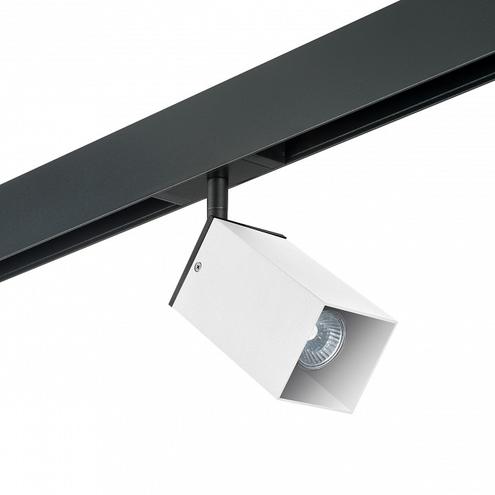 Светильник на штанге lightstar rullo pro216586
