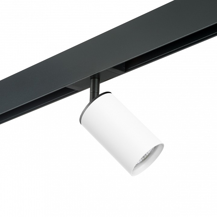 Светильник на штанге lightstar rullo pro436