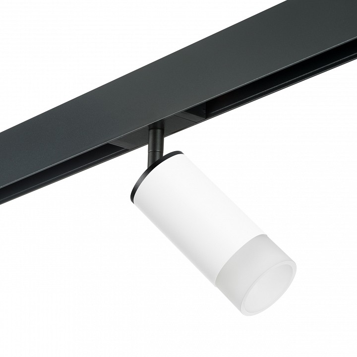 Светильник на штанге lightstar rullo pro43631