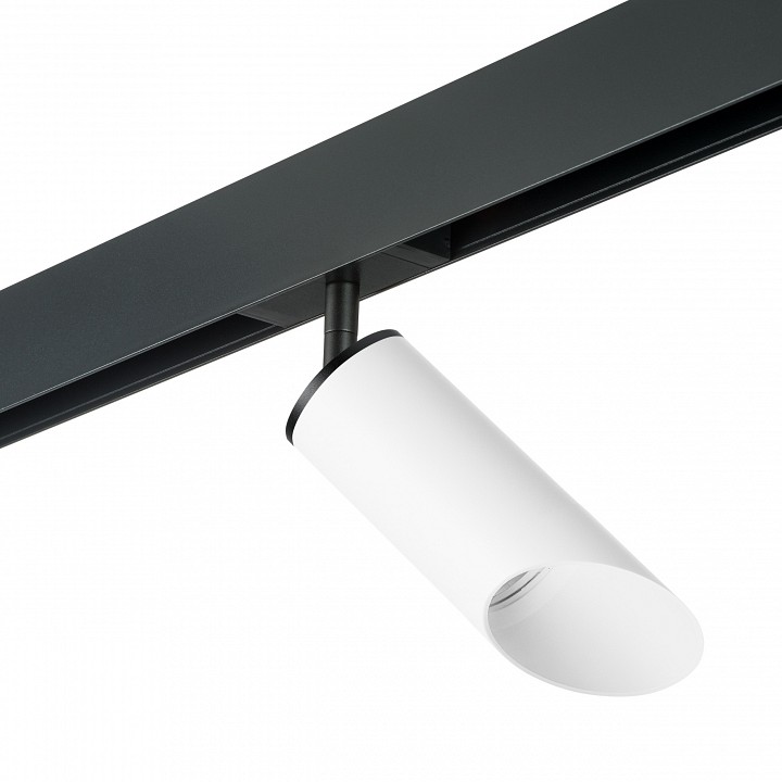 Светильник на штанге lightstar rullo pro43636