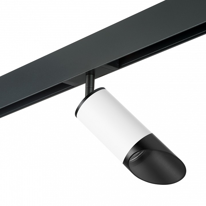 Светильник на штанге lightstar rullo pro43637